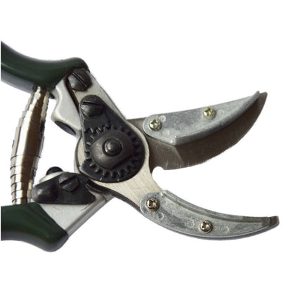 Rosenschere Präsentierschere mit Cut & Hold Funktion