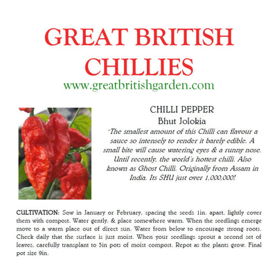 Chilisamen Bhut Jolokia