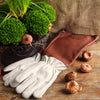Edle Rosenhandschuhe aus Leder