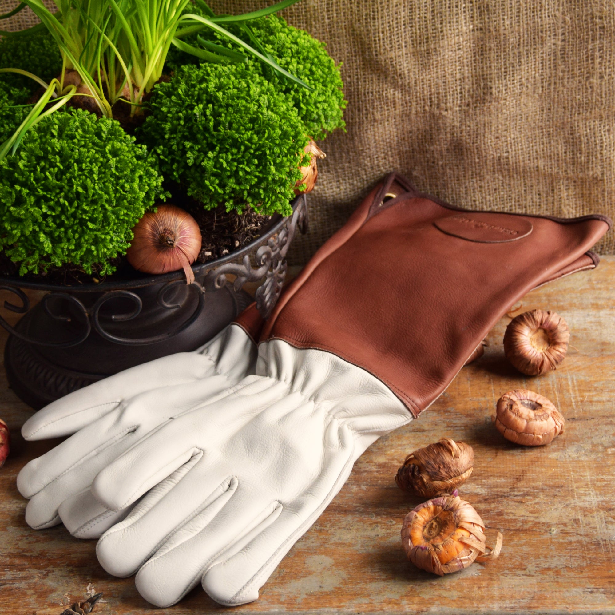 gemüse handschuhe Rosenhandschuhe aus Leder
