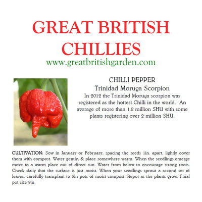 Chilisamen Trinidad Moruga Scorpion