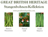 Stangenbohnensamen